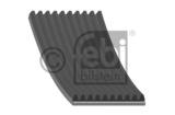 GERIBDE V-RIEM